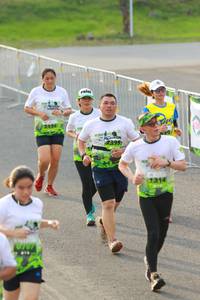 BIB: 2399, 1314
                            <button type="button" onclick="openModal(3538754)" class="btn btn-primary btn-sm float-right btn-popup" data-toggle="modal" data-target=".modal-high-quality">
                        <i class="fas fa-shopping-cart"></i> Add to Cart
                    </button>
                                            <button type="button" onclick="isThisMe(3538754, true)" class="btn btn-success btn-sm float-right btn-popup btn-isme hidden" data-toggle="tooltip" data-placement="bottom" title="นี่คือรูปของคุณใช่ไหม คลิกที่นี่เพื่อเอาเข้าอัลบั้ม">
                        <i class="fas fa-plus"></i> Add to album
                    </button>
                    <button type="button" onclick="isThisMe(3538754, false)" class="btn btn-warning btn-sm float-right btn-popup btn-isnotme hidden">
                        <i class="fas fa-ban"></i> Remove from album
                    </button>